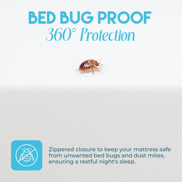 3-BSE-TWN-003-WHT-Twin-box-Spring-Encasement-110-GSM.png 3-BSE-TWN-003-WHT-Twin-box-Spring-Encasement-110-GSM.png